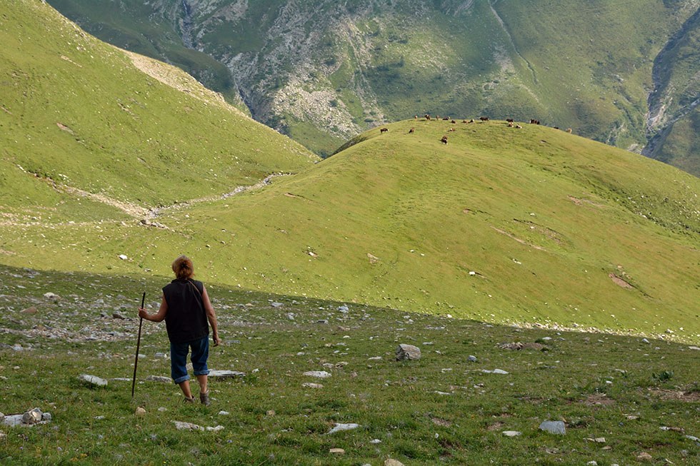 pastoralisme la bergère (Michèle Hagard) à Chargès Réallon