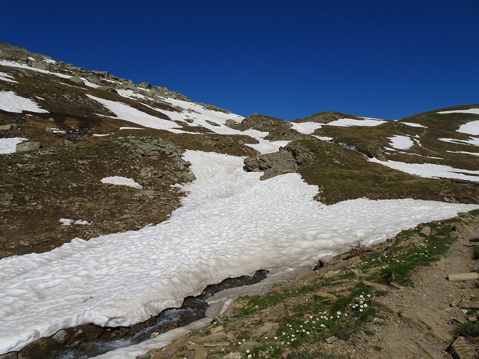 Renaissance saisonnière annuelle du torrent de l’Alp en juin.