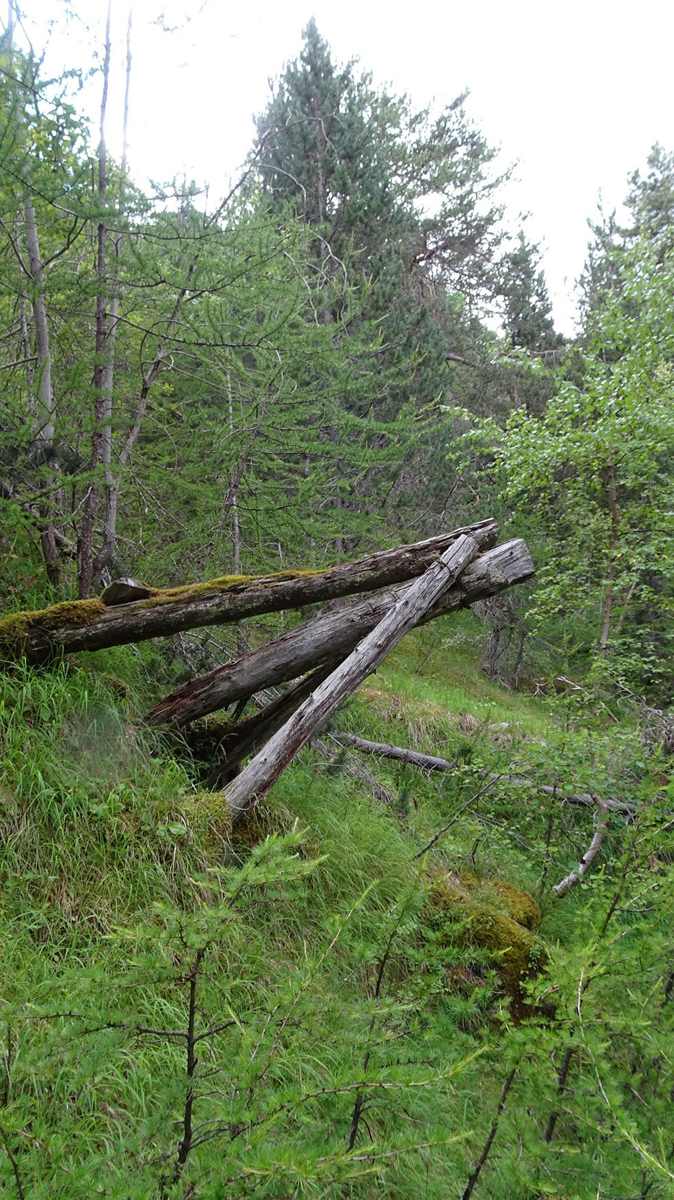 Vestiges du chevalement de bois qui portait le canal de bois
