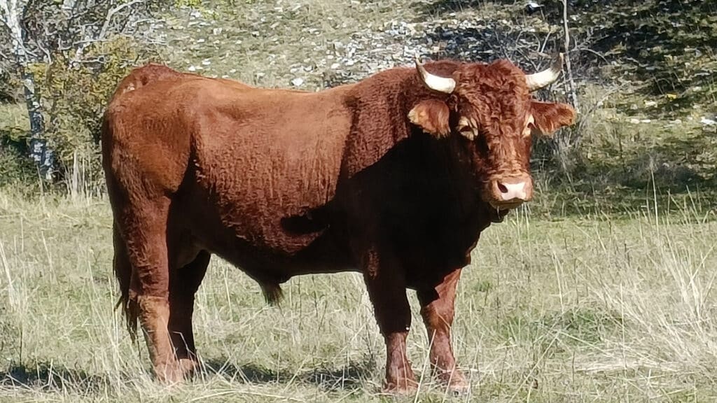 UN PEU DE CALME S’IL VOUS PLAIT !